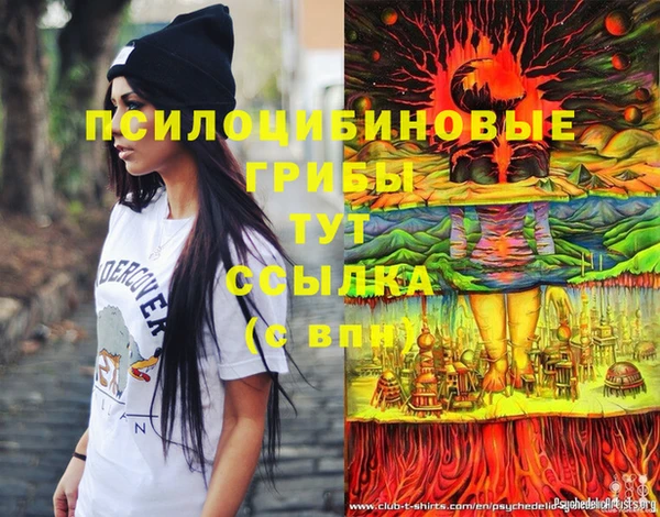 альфа пвп Горно-Алтайск