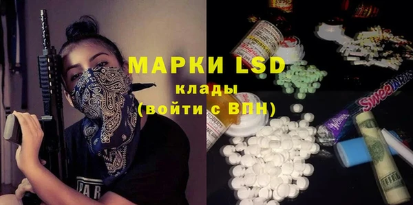 стаф Алексин