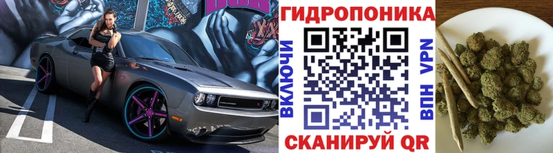 Конопля THC 21%  Катав-Ивановск 